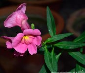 FSC_5961.jpg
