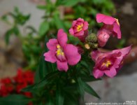 FSC_6413.jpg