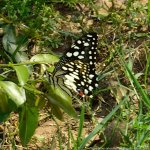 FSC_6321.jpg