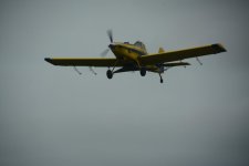 DSC_3986.jpg