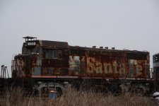 DSC_3987.jpg