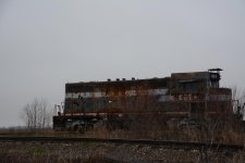 DSC_3989.jpg