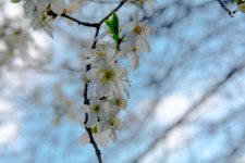 DSC_1398.jpg