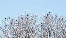 DSC_6044.jpg