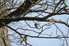 DSC_60591.jpg