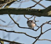 DSC_6059.jpg