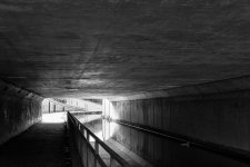 DSC_1330-Edit.jpg