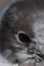 503_7540-2.jpg