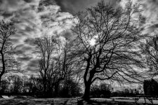 DSC_1390-Edit.jpg