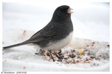 DSC_8312.jpg