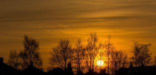 DSC_1442.jpg