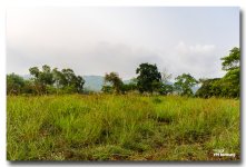 landscaape-banung-2.jpg