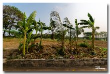 landscaape-banung-3.jpg