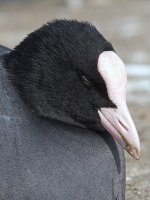 503_7475.jpg
