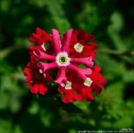 FSC_6130.jpg