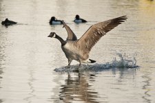 DSC_6134.jpg