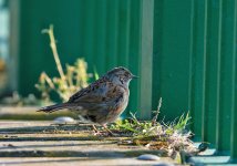 DSC_6180.jpg