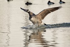 DSC_6135.jpg