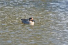 DSC_6315.jpg