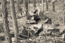 untitled shoot-4100.jpg