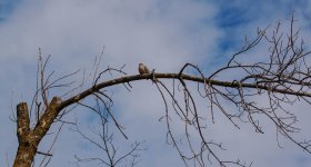 untitled shoot-4086.jpg