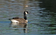 DSC_6160.jpg