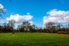 DSC_1506.jpg