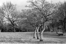 DSC_1495-Edit.jpg