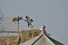DSC_6192.jpg
