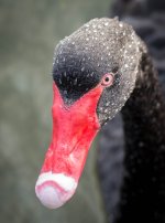 untitled-1-56.jpg