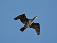 DSC_6357.jpg