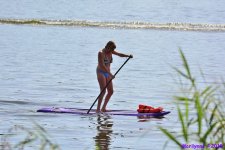 DSC_0866_01.JPG