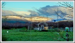 DSC_4610.jpg