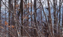 untitled shoot-4037.jpg