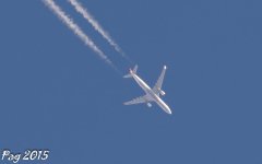 TC-JNS  A333 THY.jpg