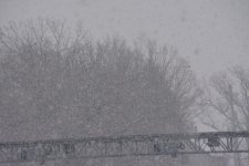 DSC_4046.jpg