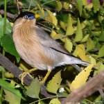 FSC_6664.jpg