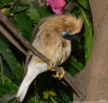 FSC_6667.jpg