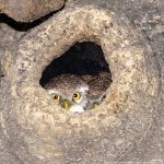 FSC_6656.jpg