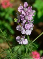 FSC_6300.jpg