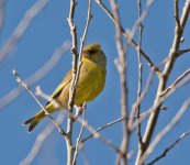 DSC_6557.jpg