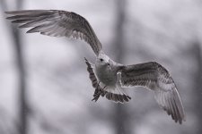 503_7865.jpg