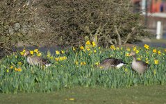 DSC_6449.jpg