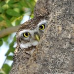 FSC_6749.jpg FSC_6749.jpg