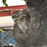 FSC_6743.jpg