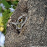 FSC_6745.jpg