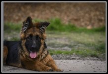DSC_5289-2s.jpg