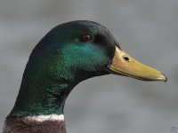 503_7909.jpg