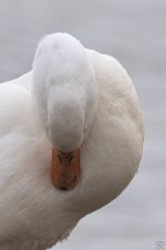 503_7988.jpg