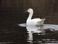 DSCN9623.jpg